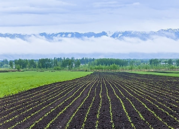 上海室內(nèi)空氣質(zhì)量檢測中心-上海CMA檢測報(bào)告